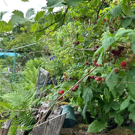 Bright & Airy Family Haven With Winter Garten * Neustadt an der Weinstrasse